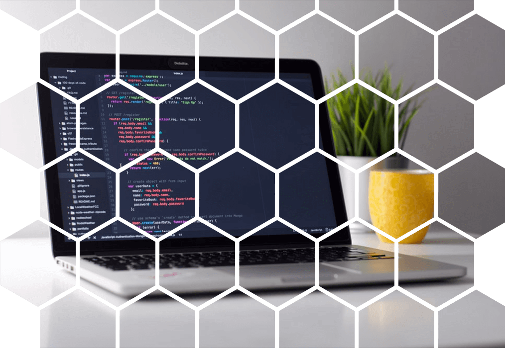 Web Development Banner